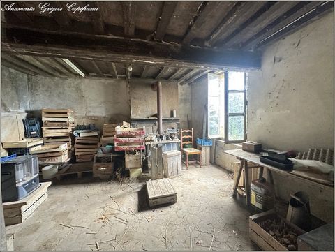 photo no. 1