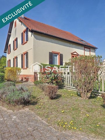 photo no. 14