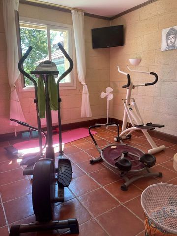 photo no. 15