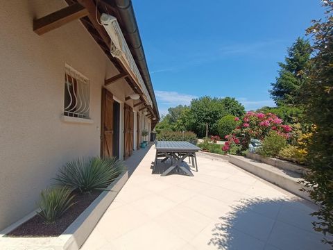 photo no. 12