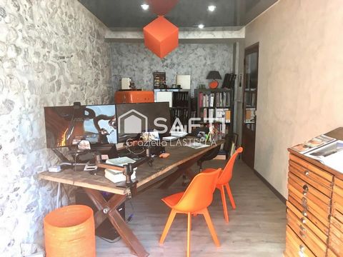 photo no. 11