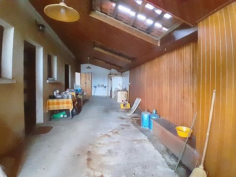 photo no. 9