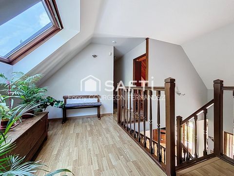 photo no. 10