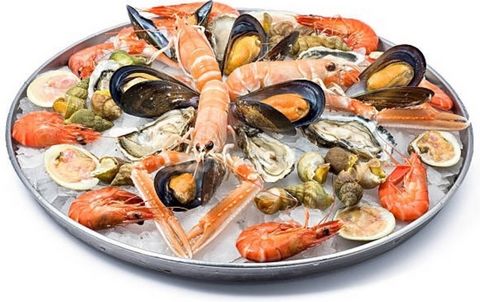 Dpt Charente Maritime (17), à vendre Poissonnerie