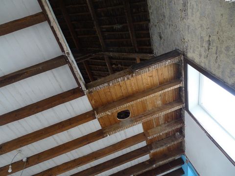 photo no. 6