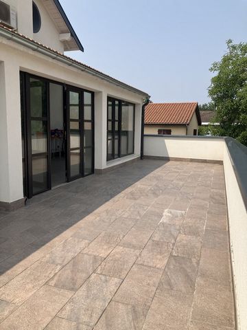 photo no. 12