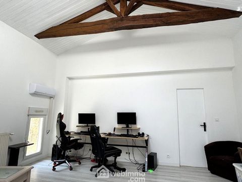 photo no. 12