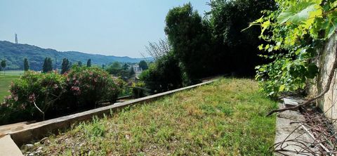 photo no. 4
