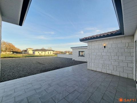photo no. 14