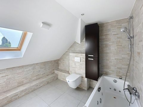 photo no. 16
