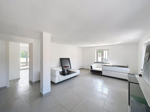 photo no. 17