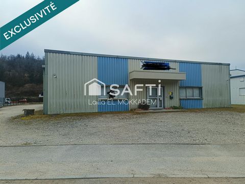 photo no. 12