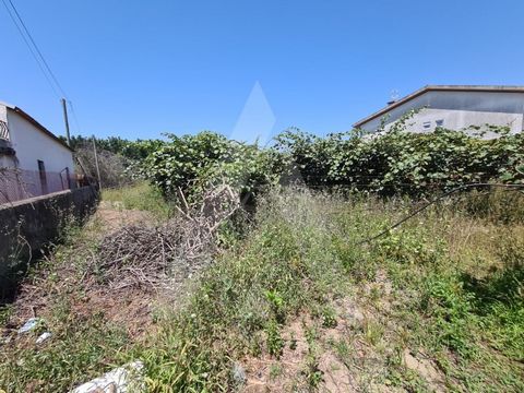 Terreno para construção no centro de Bustos, próximo de comércio e serviços. No total o terreno apresenta área de 1490 m2 e 21 metros de frente. Possibilidade de construção de uma moradia unifamiliar com boa exposição solar. Venha já conhecer! Ref.: ...