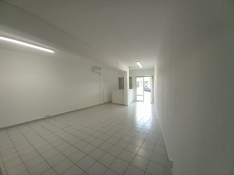 photo no. 1