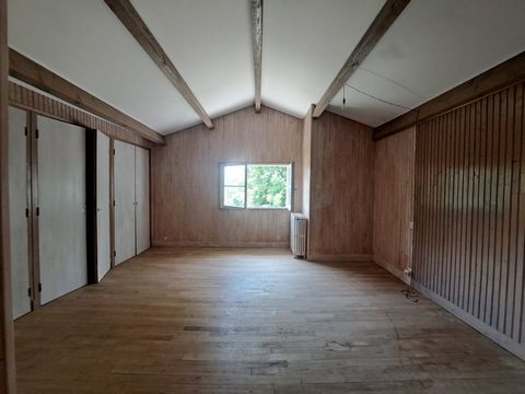 photo no. 16