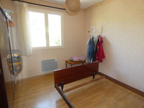 photo no. 6