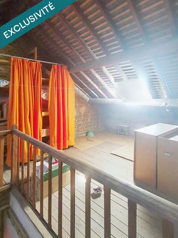 photo no. 12