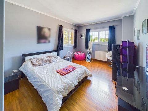 photo no. 13