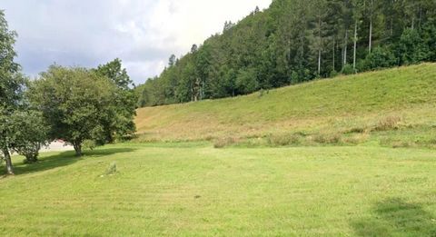 Lajoux : 3 parcelles de terrains constructibles