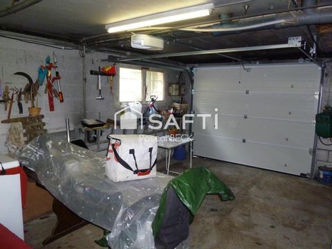 photo no. 19