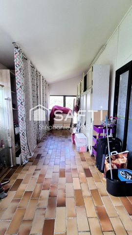 photo no. 17