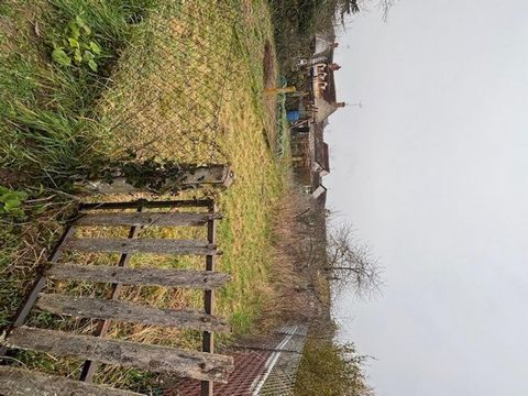 photo no. 11
