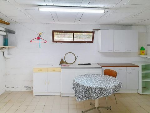 photo no. 12