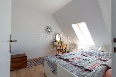 photo no. 11