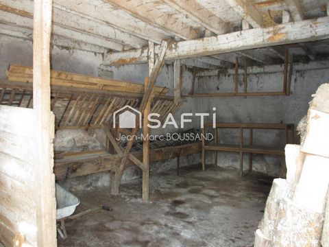 photo no. 11