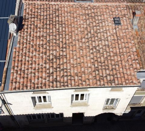 photo no. 17