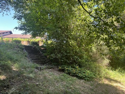 photo no. 15