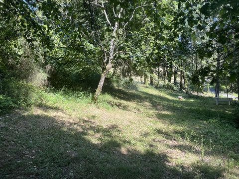 photo no. 16