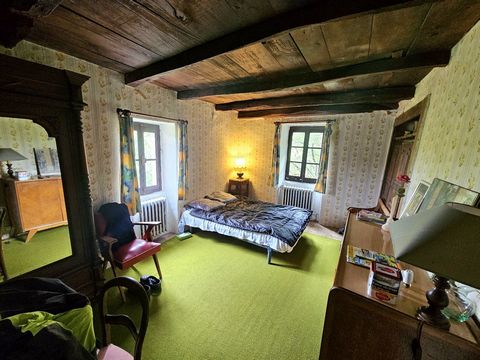 photo no. 11