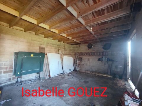photo no. 11
