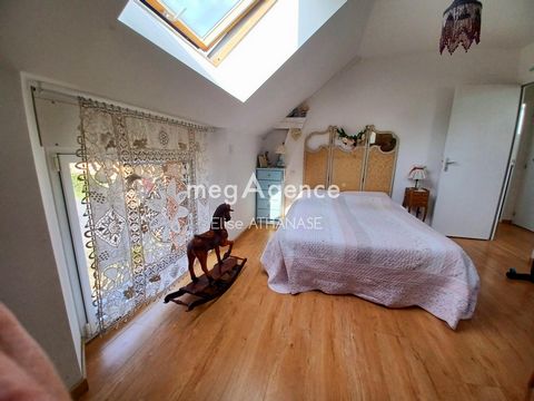 photo no. 12