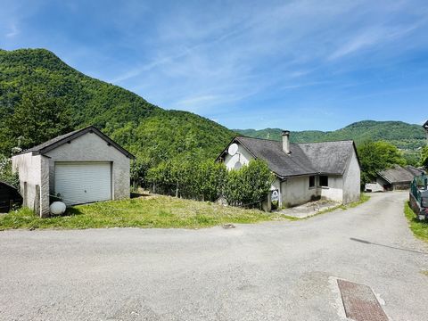 photo no. 6