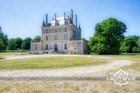 Propriété dexception Château XIXe à CHANTONNAY (85)