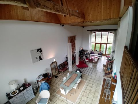 photo no. 6