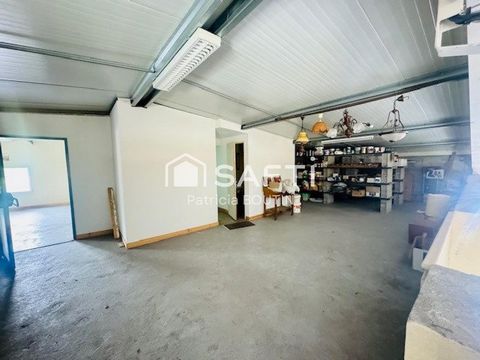 photo no. 9