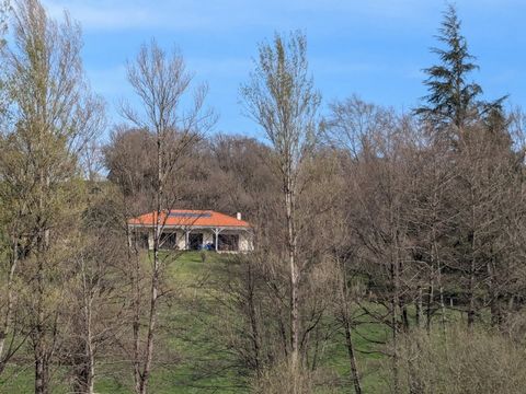 photo no. 31