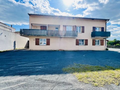 Immeuble de Rapport Idéalement Situé à Albi