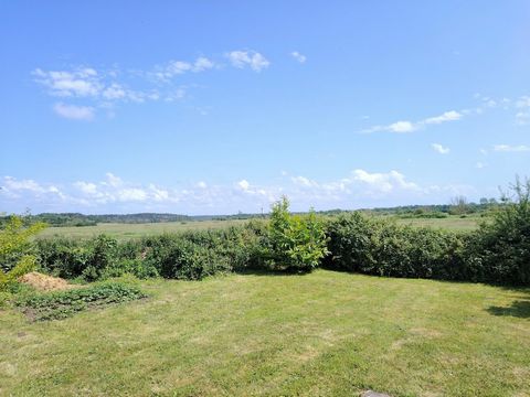 photo no. 19