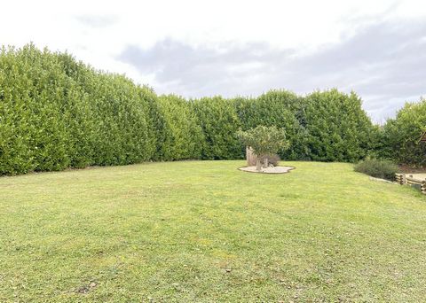 photo no. 3