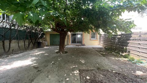 photo no. 5