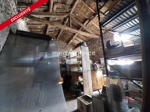 photo no. 4