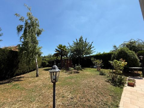 photo no. 12