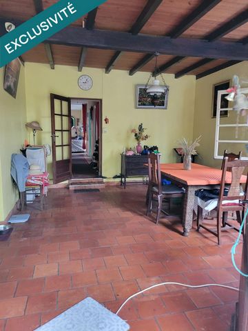 photo no. 4
