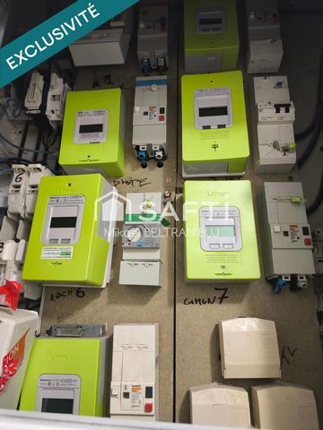 photo no. 13