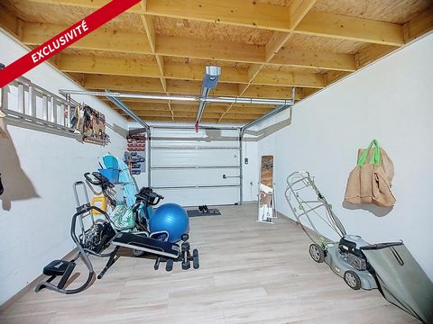 photo no. 10