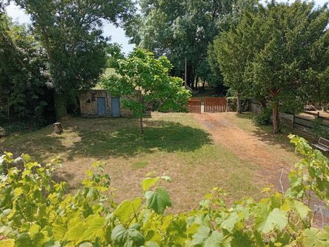 photo no. 13